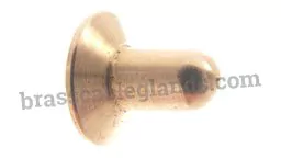Brass Cylinder Plunger